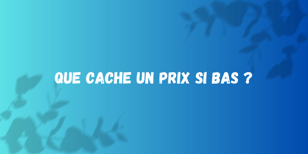 Pourquoi de si petits prix ? Je vous dis tout !