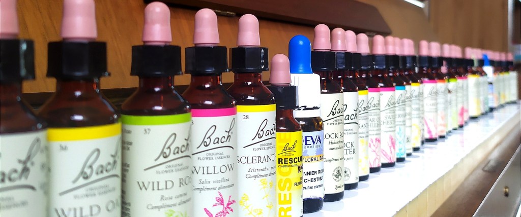 Les Fleurs de Bach ont changé ma vie